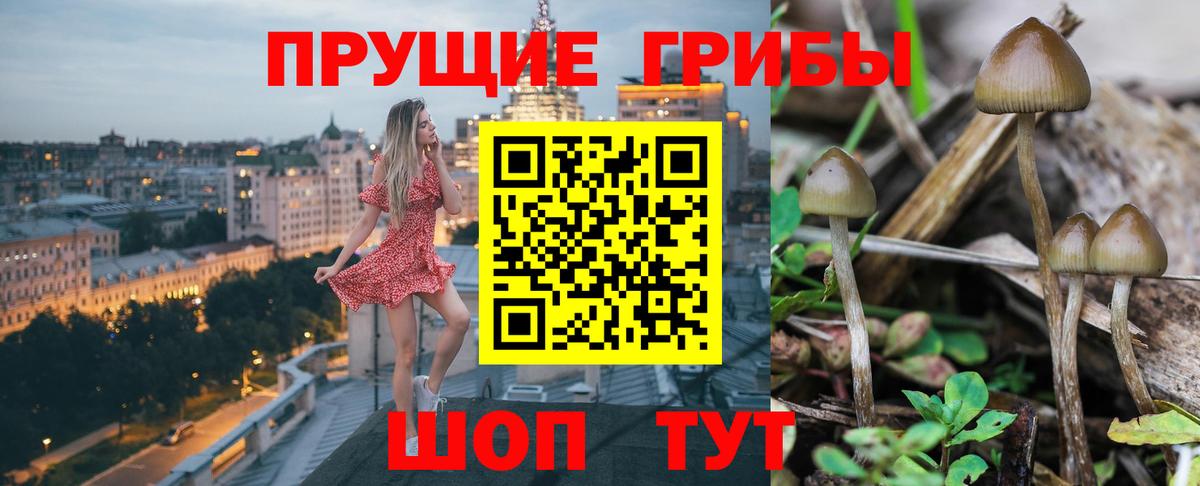 Галлюциногенные грибы ЛСД Ипатово