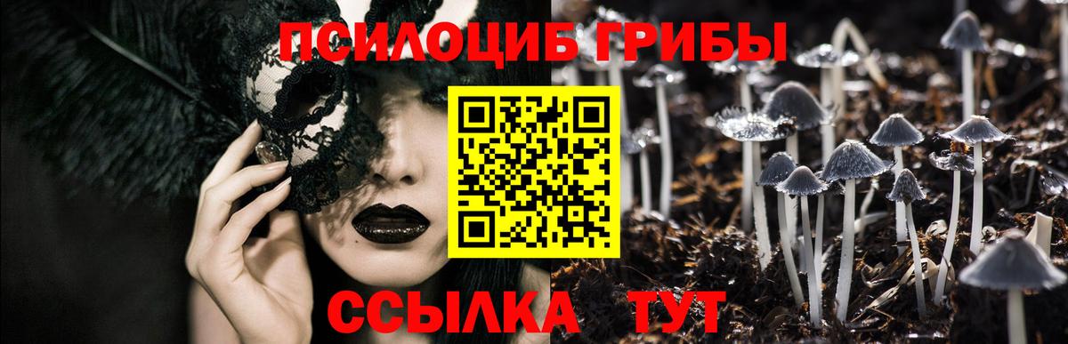 Ипатово  Псилоцибиновые грибы мухоморы  купить наркотик  Вход с VPN 